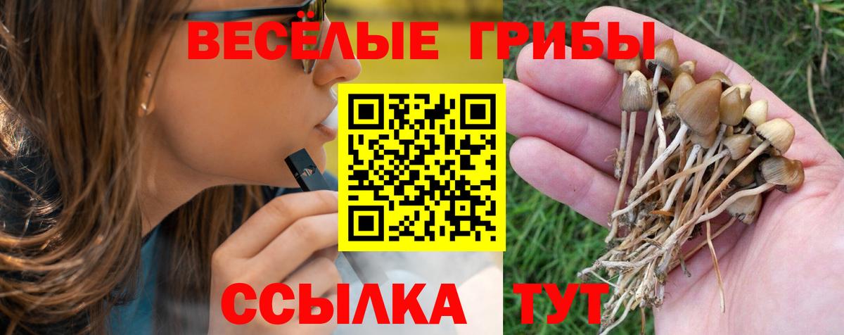 Псилоцибиновые грибы Cubensis  Вход с VPN  Псилоцибиновые грибы прущие грибы  Клинцы 